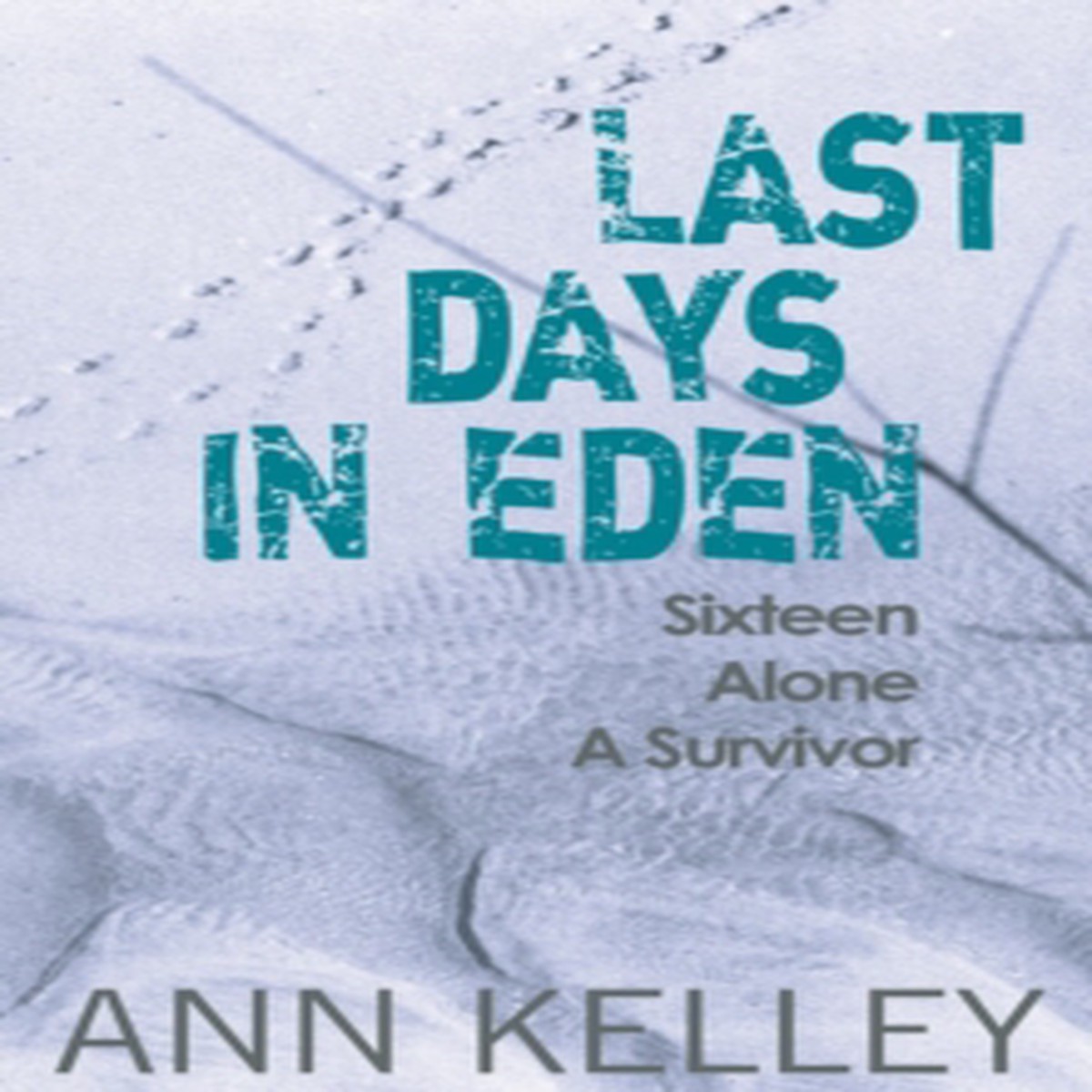 Last Days in Eden 9781910021279 Hardback