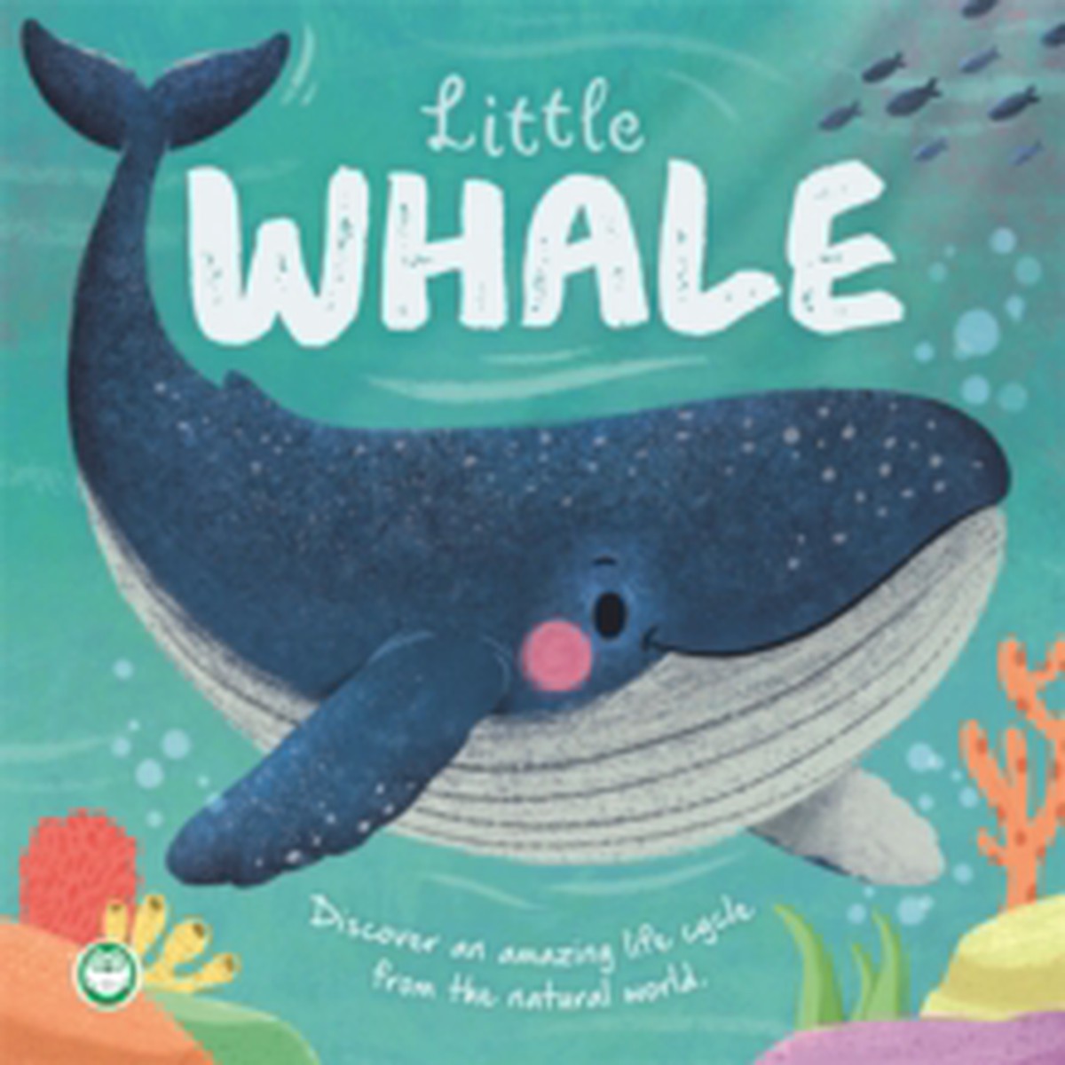 Little Whale  Little Nature Stories 9781836507550 Hardback
