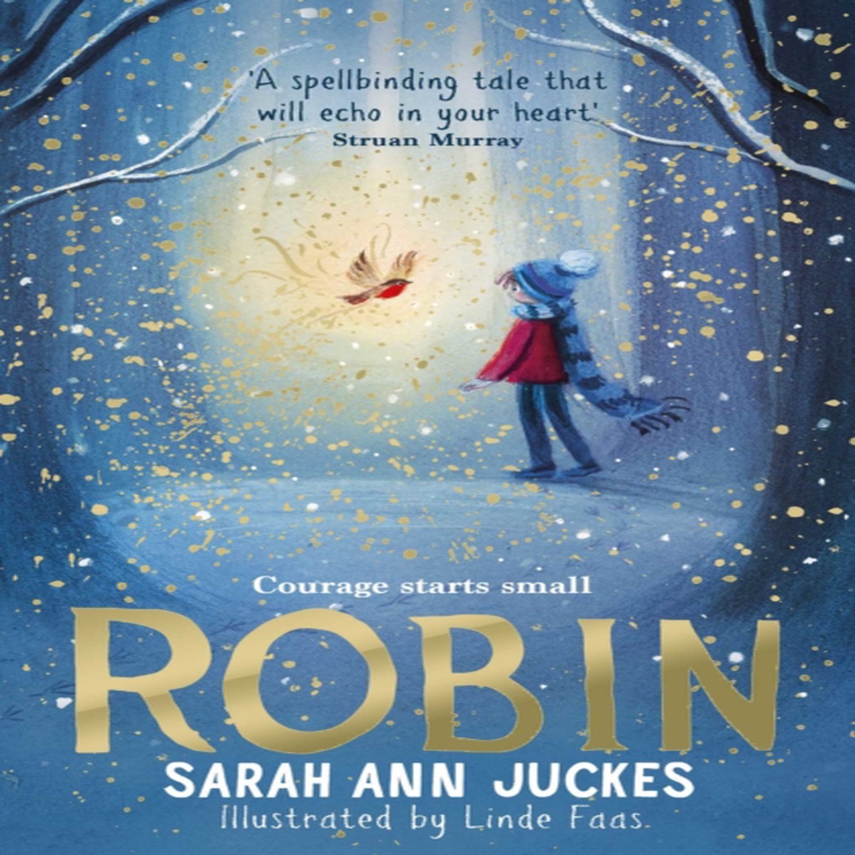 Robin 9781398539617 Paperback