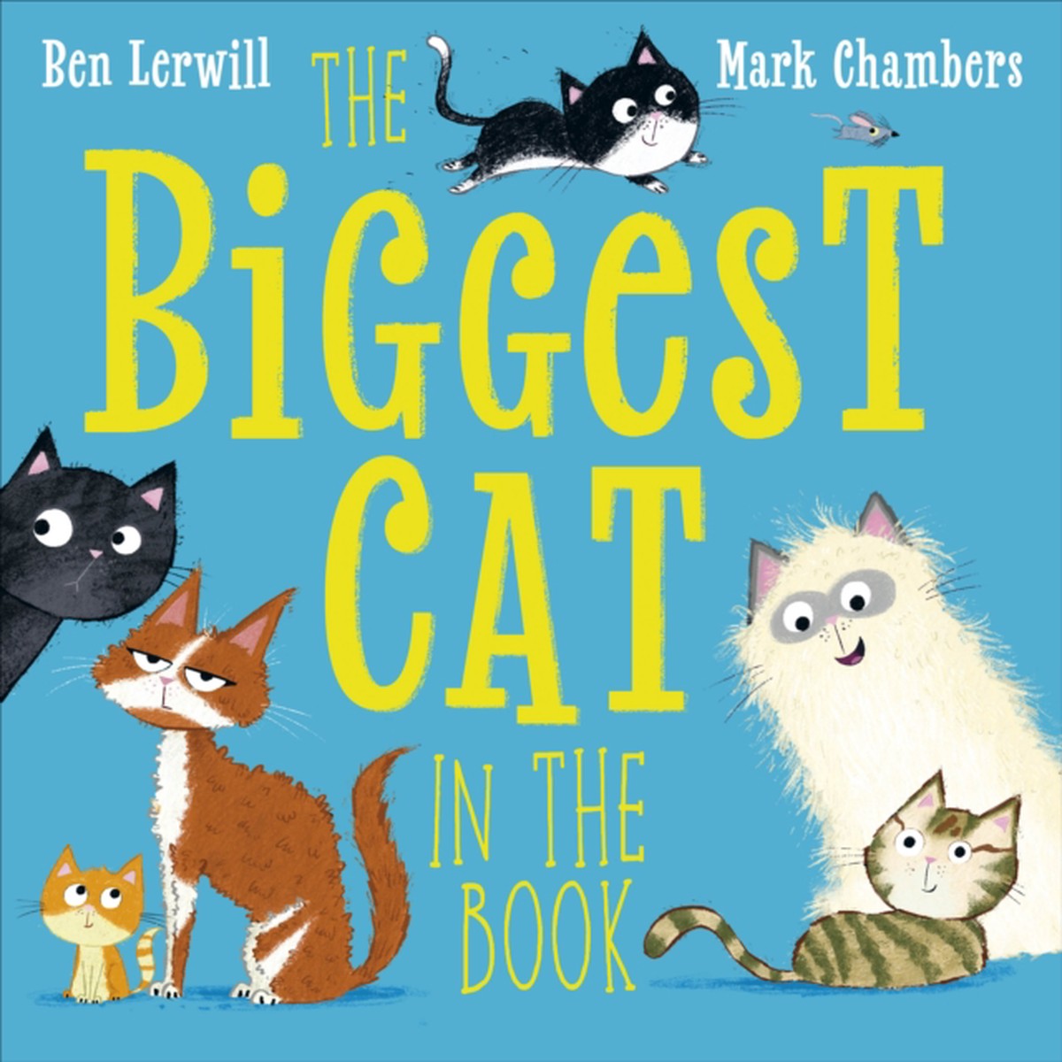 The Biggest Cat in the Book 9780241761007 Paperback