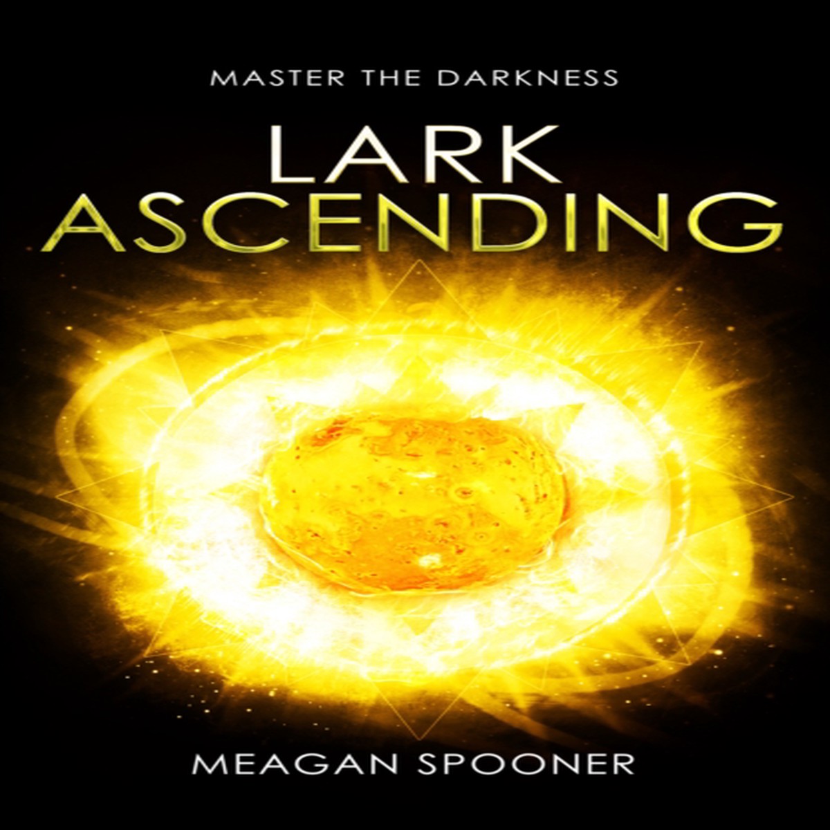 Lark Ascending 9780552565585 Paperback