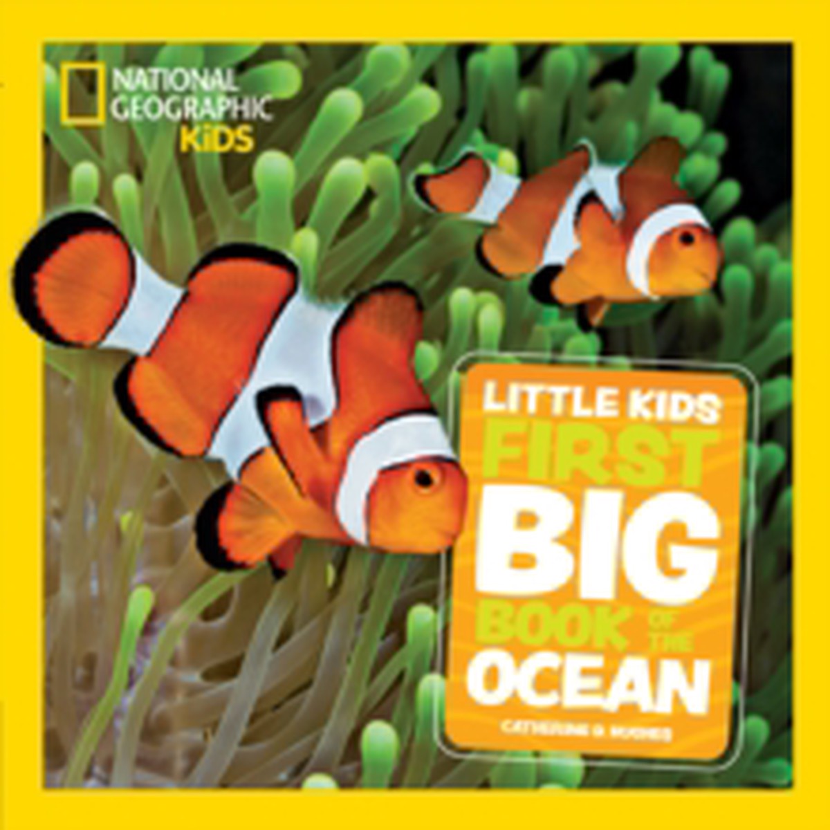 Little Kids First Big Book of The Ocean 9780008825201 Hardback