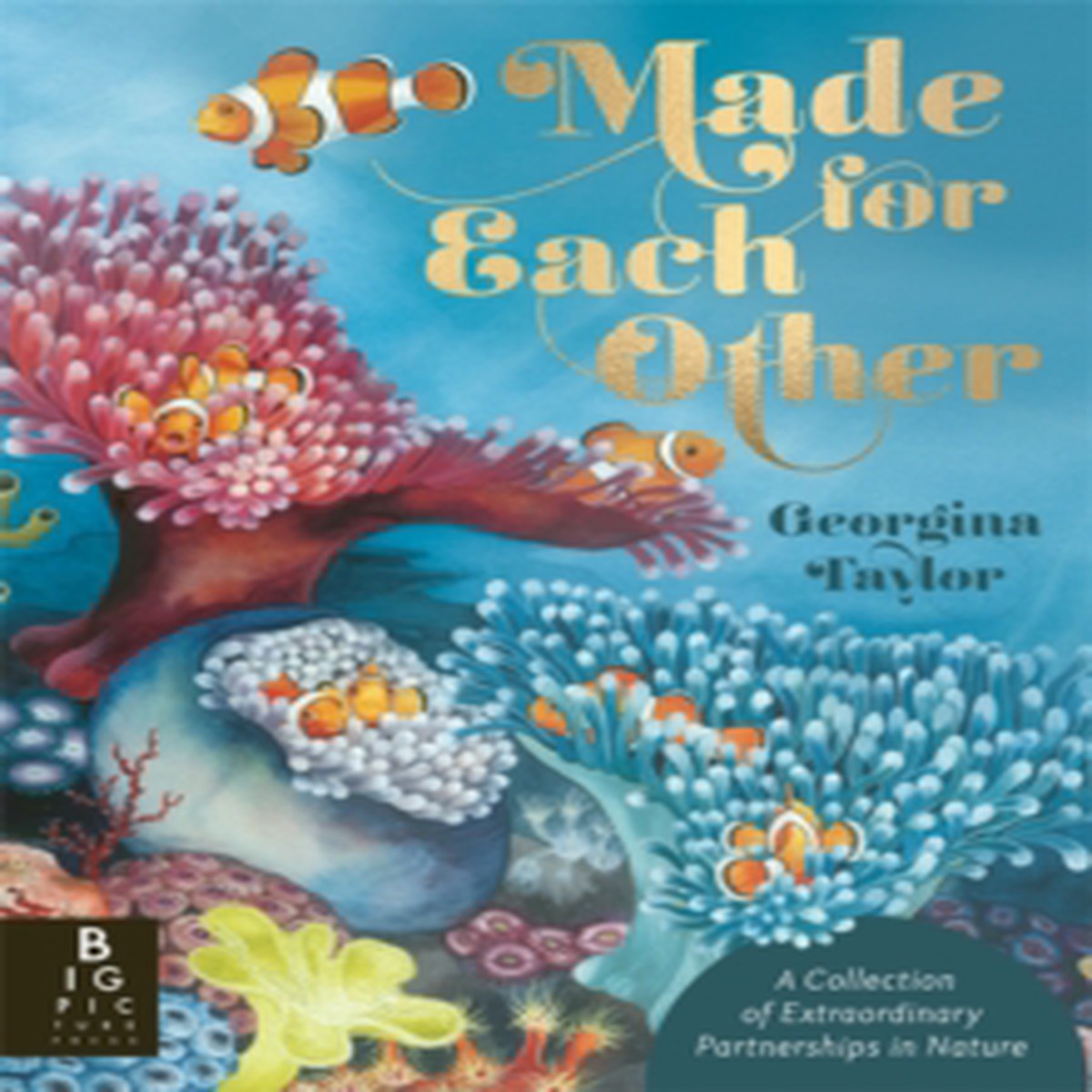 Made for Each Other 9781835878576 Paperback