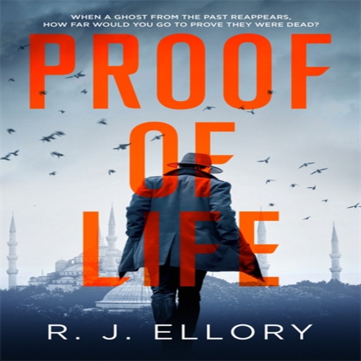 Proof of Life 9781409198567 Hardback