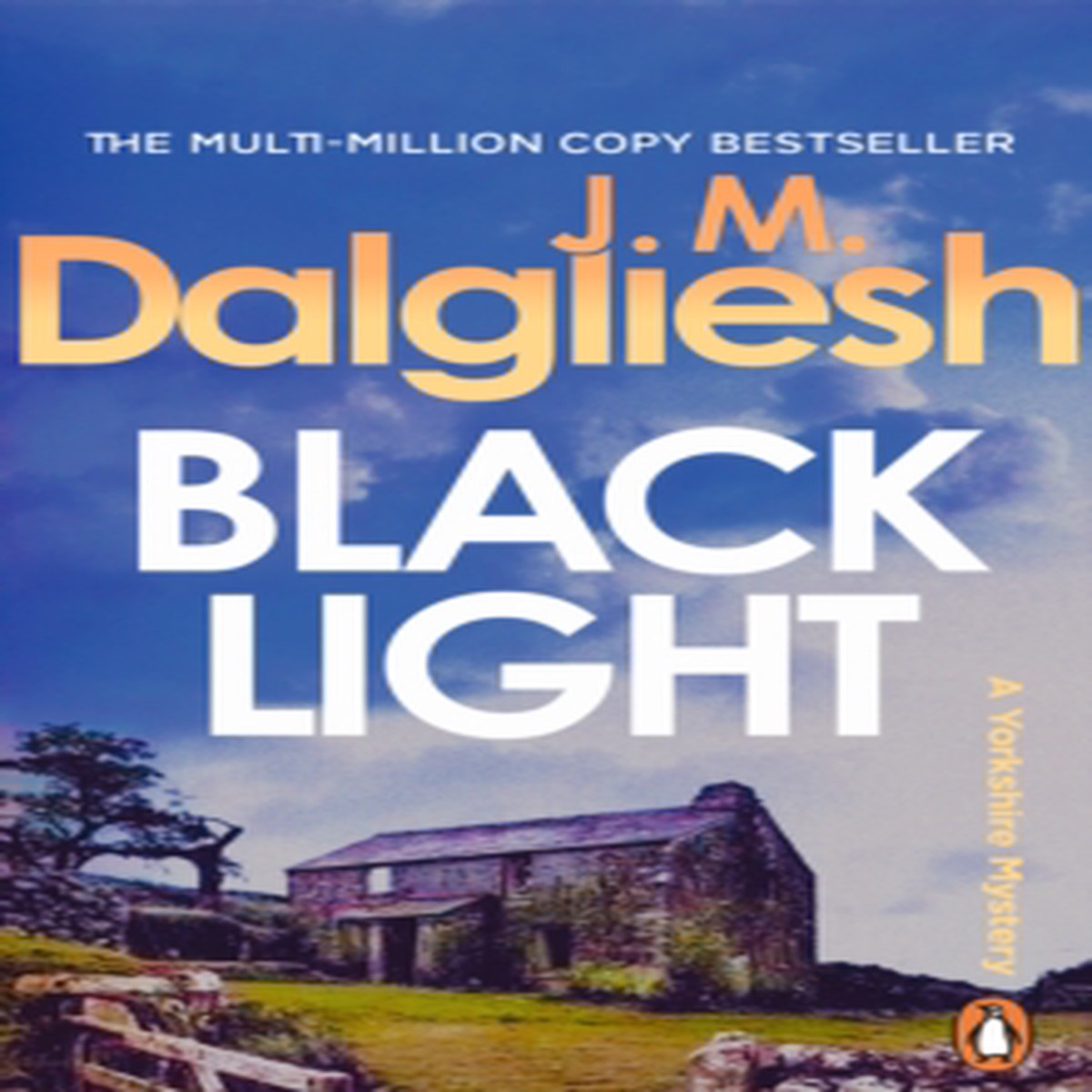 Blacklight 9781837320127 Paperback