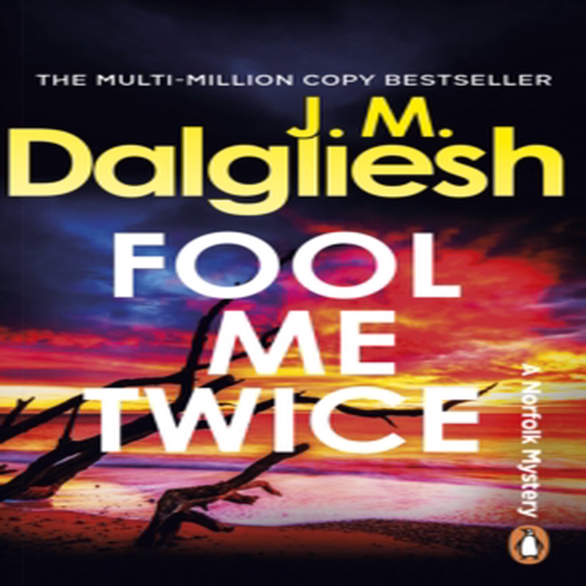 Fool Me Twice 9781837320257 Paperback