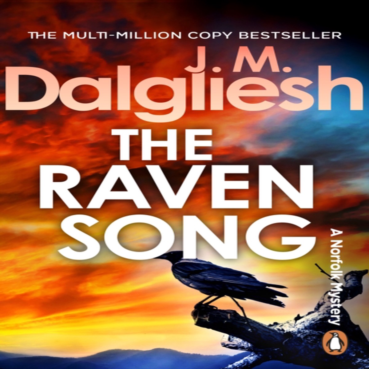 The Raven Song 9781837320264 Paperback