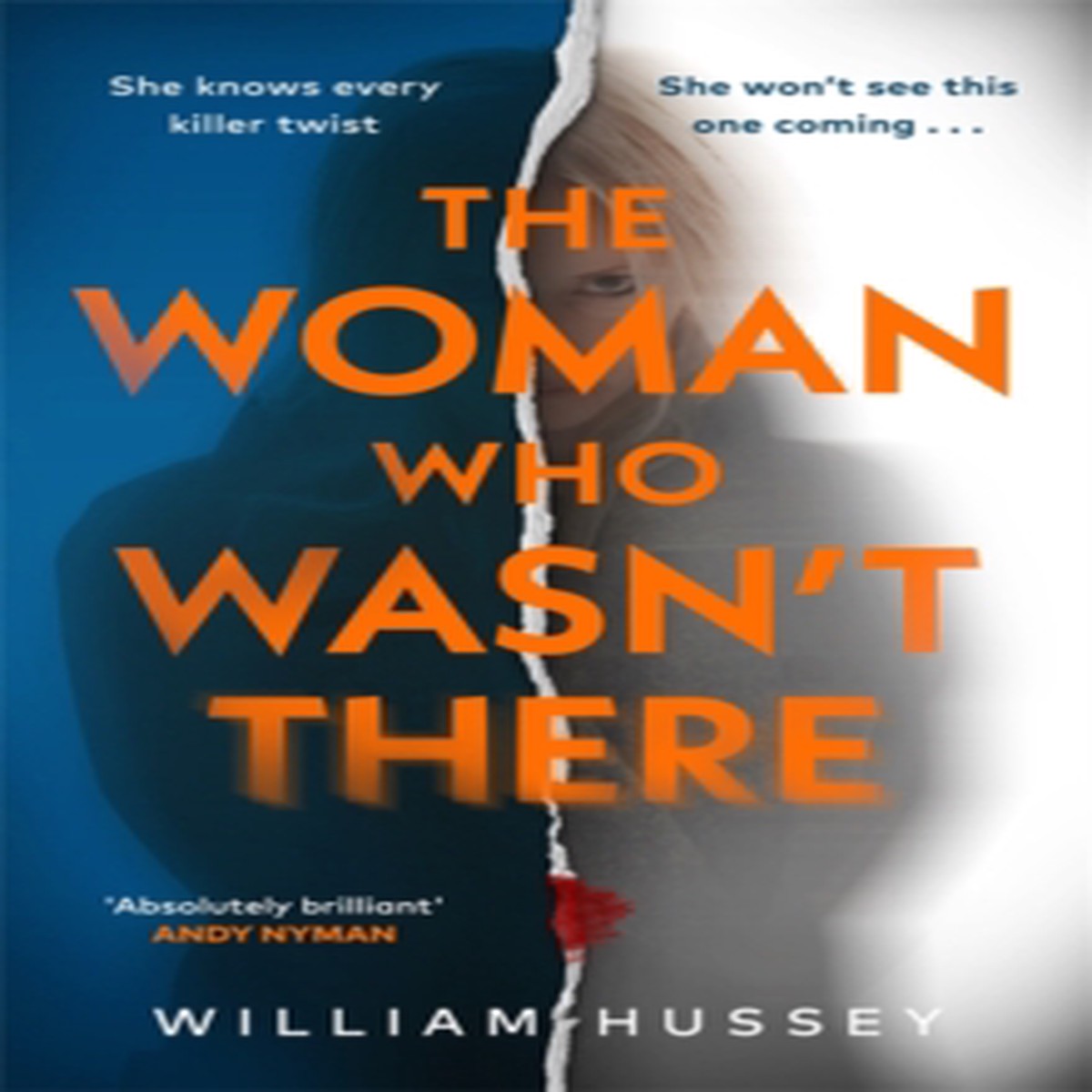 The Woman Who Wasn't There 9781785123900 Hardback