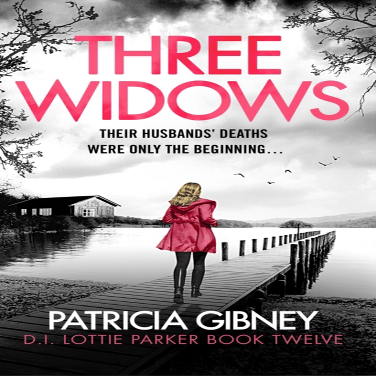 Three Widows 9781836186533 Paperback