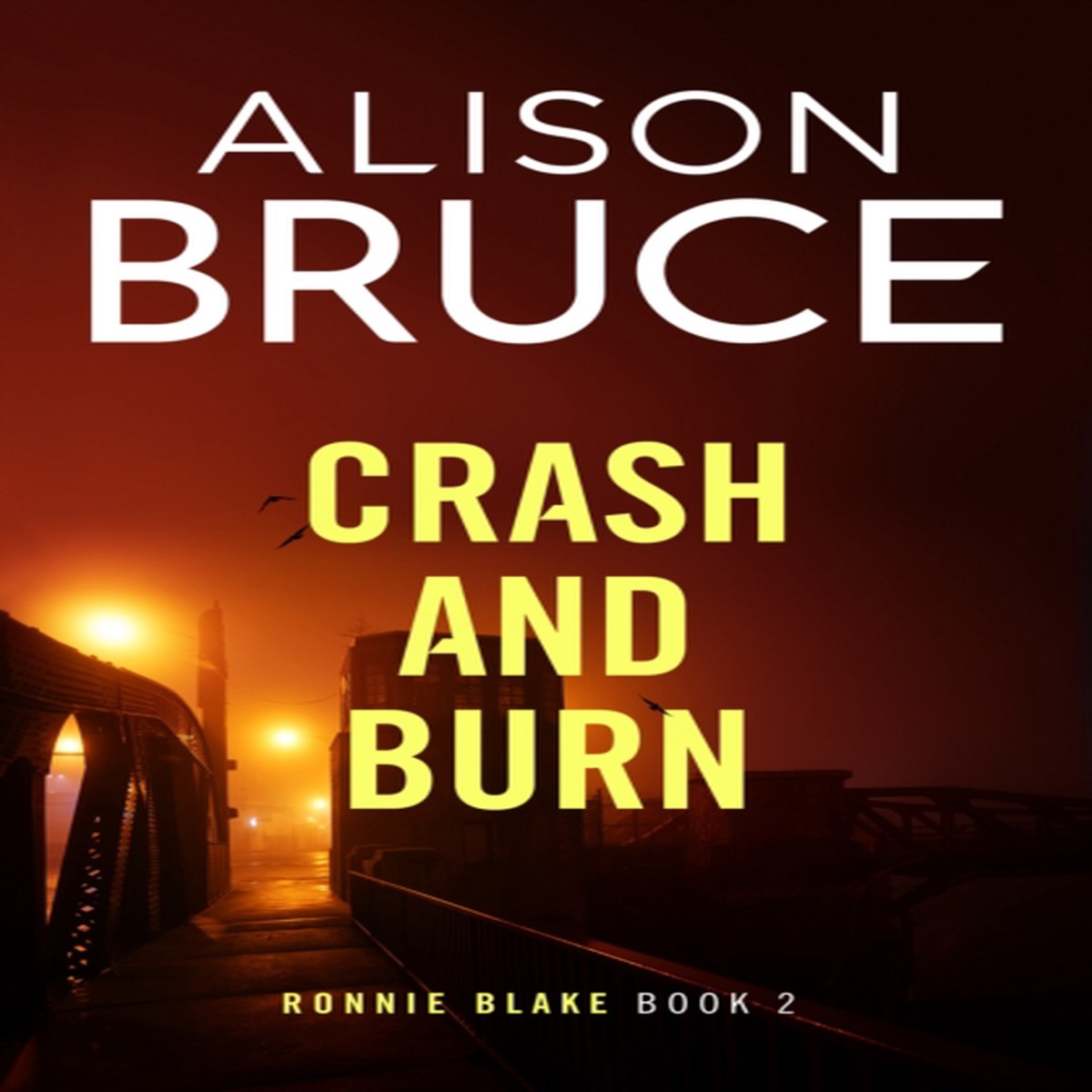 Crash and Burn 9780349135434 Hardback