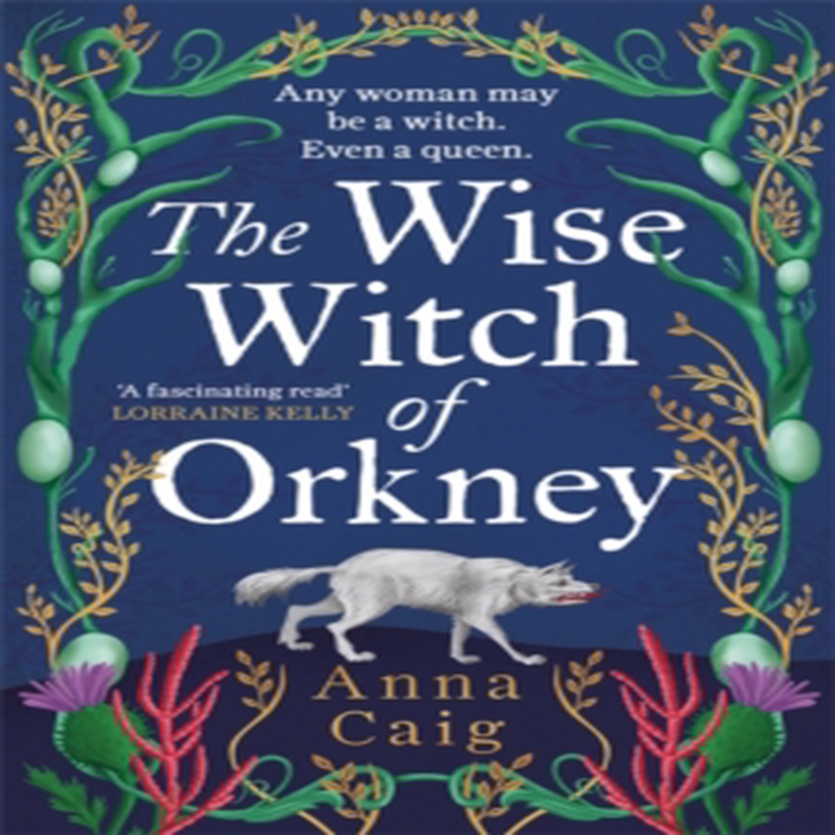 The Wise Witch of Orkney 9781785308512 Paperback