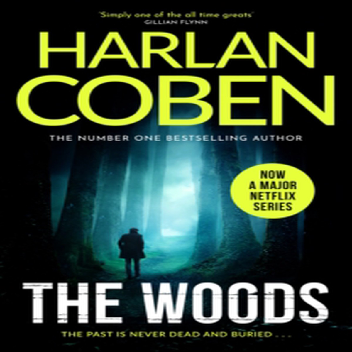 The Woods 9781398730977 Paperback