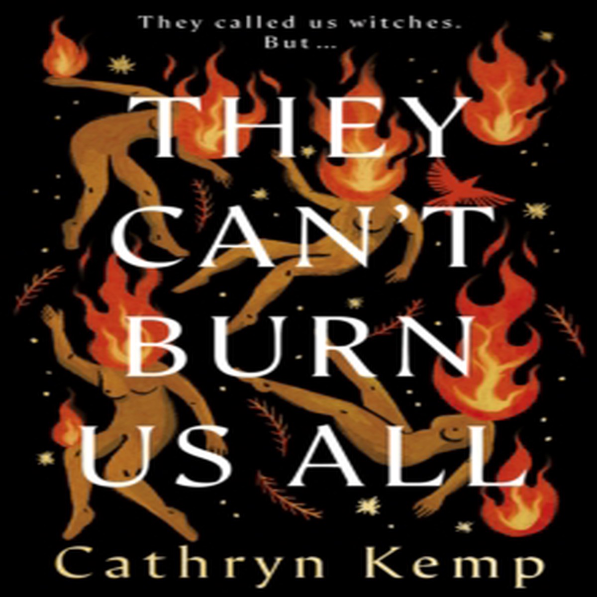 They Can't Burn Us All 9781787637160 Hardback
