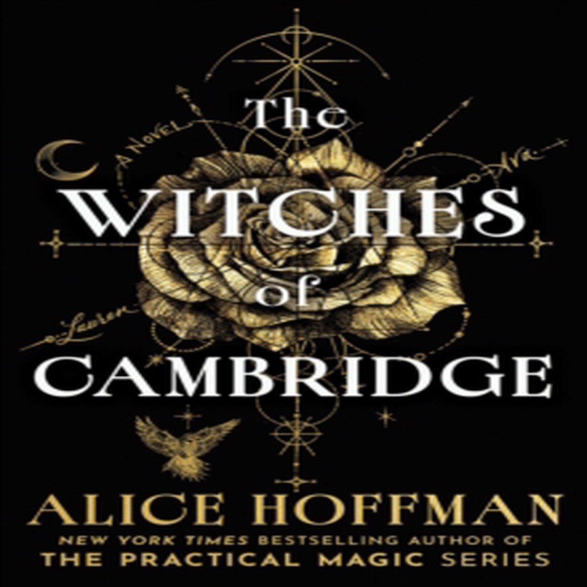 The Witches of Cambridge 9781398565296 Hardback