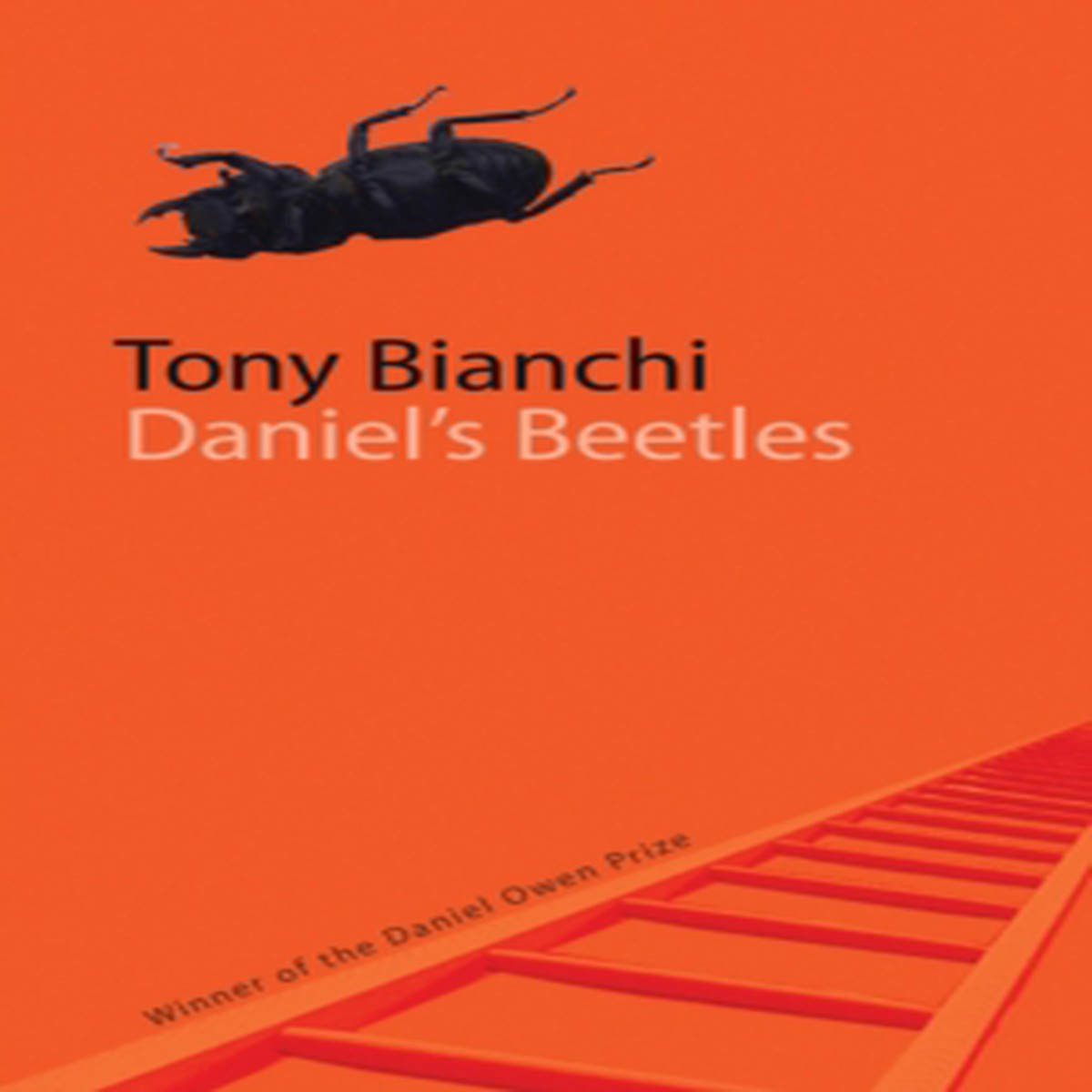 Daniel's Beetles 9781854115447 Paperback