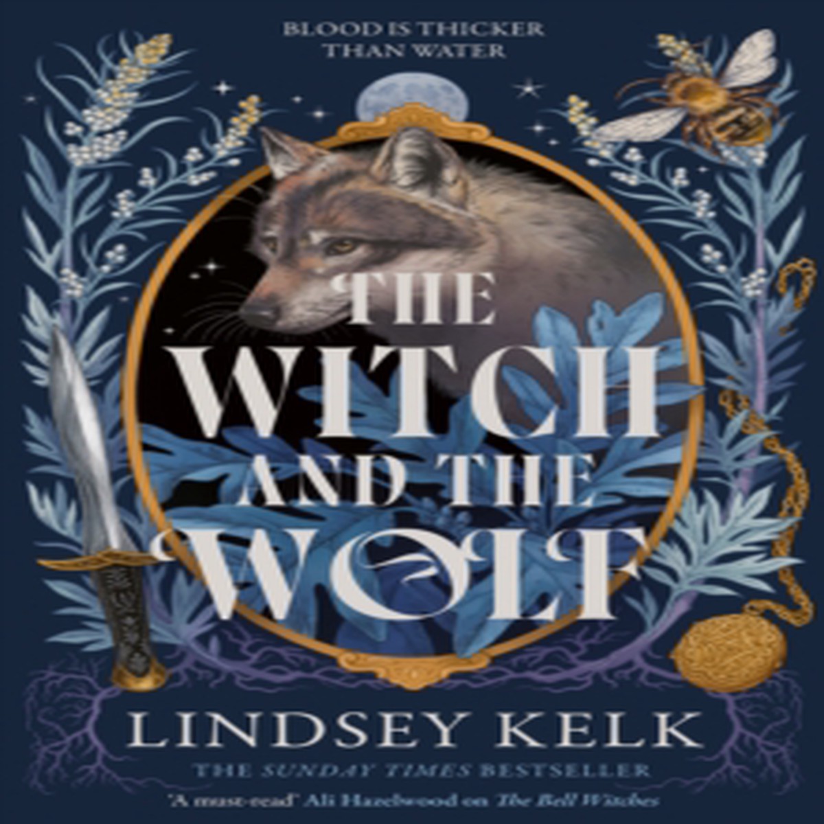 The Witch and the Wolf 9780008609917 Paperback