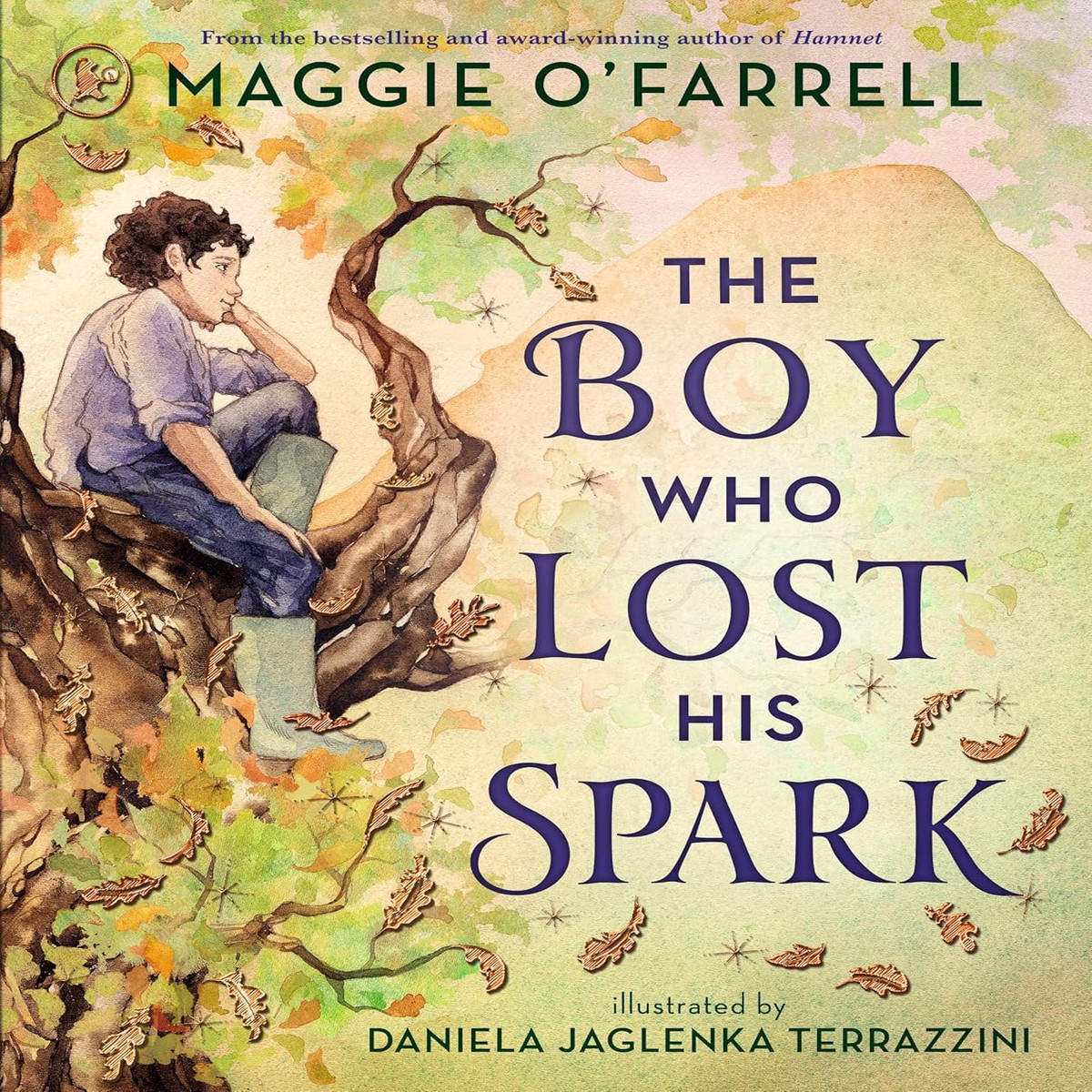 The Boy Who Lost His Spark 9781529529784 Paperback