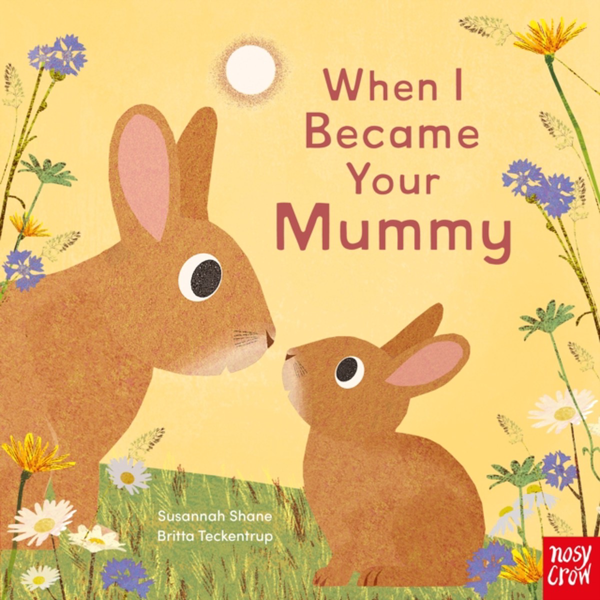 When I Became Your Mummy 9781805139782 Board book