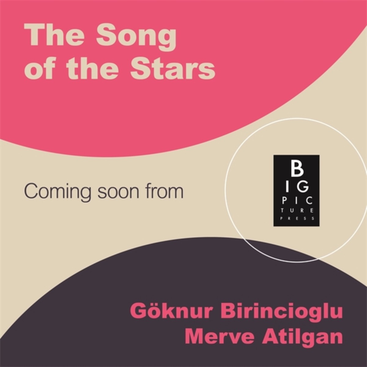 The Song of the Stars 9781807482251 Hardback